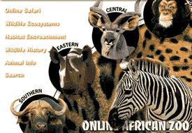 Click for Larger Image