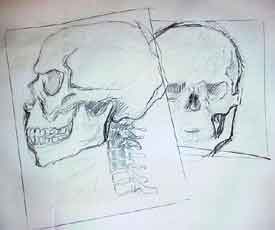 click for larger image