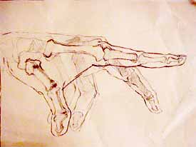 click for larger image