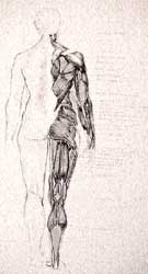 click for larger image