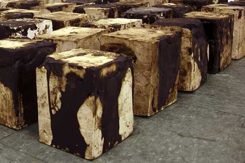 contaminated cubes